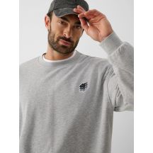Men’s Sweatshirt 4F 4FRAW26TSWSM3303-27M