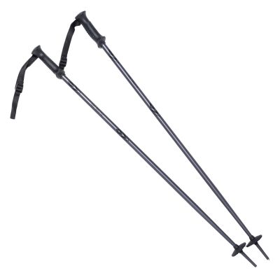 2. ALPINE SKI II poles