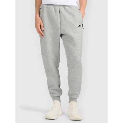 Men's jogger sweatpants 4F 4FRMM00TTROM1623-27M