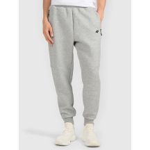 Men's jogger sweatpants 4F 4FRMM00TTROM1623-27M