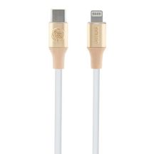 Guess Ebossed Logo USB-C / Lightning cable 1.5m fast charging - gold