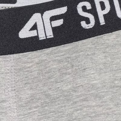 10. Boy's boxers 4F M061 3-pack multicolor 4FJWAW25UBXSM061 90S