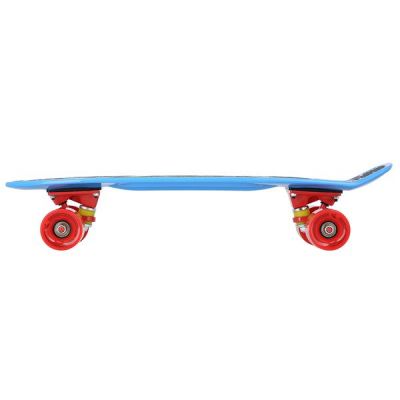 35. Pennyboard Nils Extreme Crude Dragon Skateboards