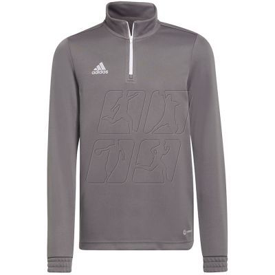 5. Sweatshirt adidas Entrada 22 Training Top Jr H57549