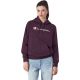 6. Champion Hooded Sweatshirt W 117529 VS503