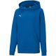 5. Puma teamGOAL 23 Casuals Hoody Jr 656711 02 sweatshirt