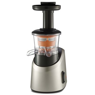 10. Tefal ZC255B slow juicer (200W; silver)