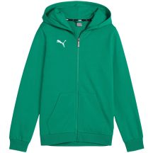 Puma teamGoal Casuals Hooded Kids' Sweatshirt Green 658596 05