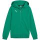 Puma teamGoal Casuals Hooded Kids' Sweatshirt Green 658596 05
