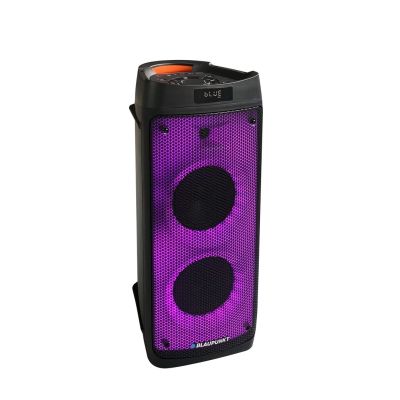 5. PartyBox Blaupunkt PB06DB (Bluetooth and karaoke)
