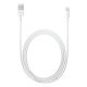 4. Apple Lightning to USB Cable (2m) MD819ZM/A