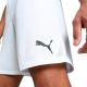 6. Puma Team Goal men's shorts white 705752 04
