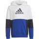 2. Adidas Colourblock Hoodie Jr HG6826 sweatshirt