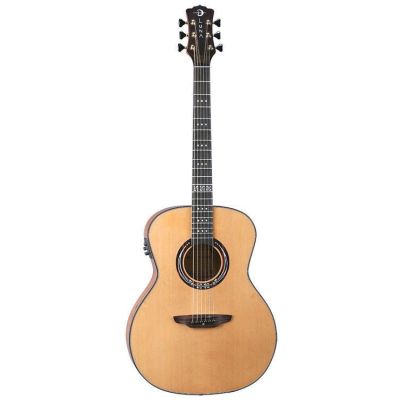 Luna Artist Craftsman - electro-acoustic guitar