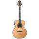 Luna Artist Craftsman - electro-acoustic guitar