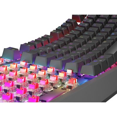 27. GENESIS THOR 230 TKL RGB MECHANICAL GAMING KEYBOARD OUTEMU RED BLACK HOT SWAP