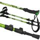 21. NORDIC WALKING TRAVEL POLES IN ENERO CASE