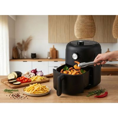 17. ESPERANZA FRYER 2.6L BISTECCA ALLA GRIGLIA EKA001