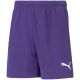 5. Puma teamRise Short Jr 704943 10
