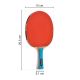 20. Meteor Zaphyr 15015 Table Tennis Racket