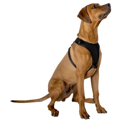 11. DOG HARNESS WITH REFLECTIVE TAPE 41 - 67 CM LARGE