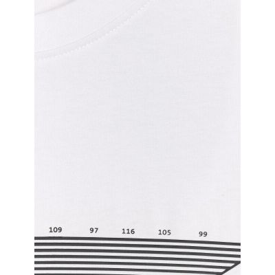 8. Men's regular printed T-shirt 4F 4FRAW25TTSHM3259-10S