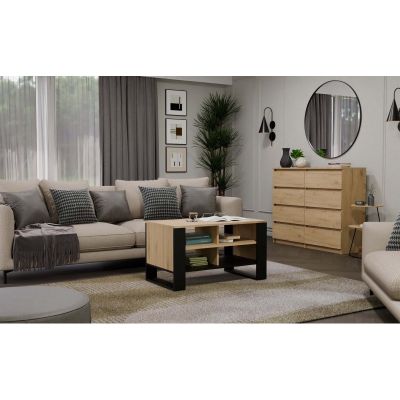 8. COFFEE TABLE MODERN 4P ARTISAN BLACK LEG