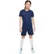 4. Nike Dri Fit Academy 25 Jr Shorts FZ9784 410