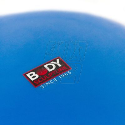 13. BB 015 stabilizing disc