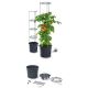 16. TOMATO PLANTING POT WITH LADDER CAPACITY 12L