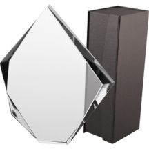 Glass trophy with case