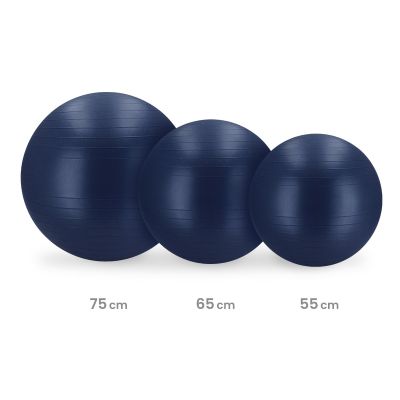6. Gym ball 55cm BLUE FITBALL