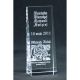 3. Engraved glass trophy with case