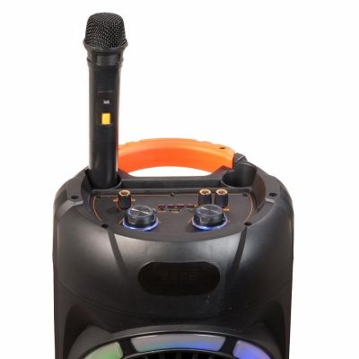 9. BT Denver BPS-459 speaker with a maximum power of 2x200W