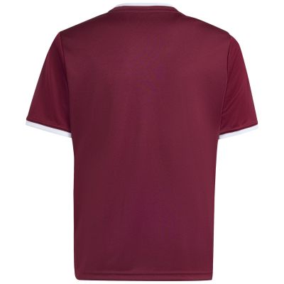 3. adidas Entrada 26 Jersey burgundy kids' T-shirt JZ2530
