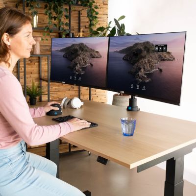 7. Monitor Mount R-Go Tools R-Go Monitorarm 0"–32" 2 TFT Max. 9 kg Caparo 4 Gas Spring Silver