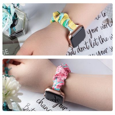 6. Fabric band for Apple Watch 38 / 40 / 41 mm strap bracelet rubber band - kiwi