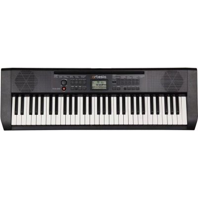 4. ARTESIA MA-88 - Keyboard