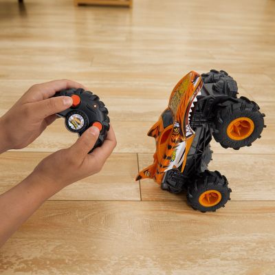 5. Hot Wheels Monster Trucks HNV03 toy car