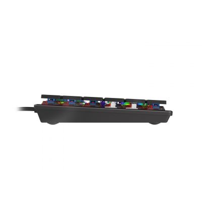 6. GENESIS Thor 420 RGB Gaming Keyboard USB AZERTY US English Silver