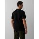 2. Men's regular printed T-shirt 4F 4FKAW26TTSHM4500-20S