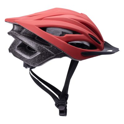 OLEG helmet