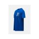 3. PEAK PERFORMANCE M Explore Graphic Tee Men's T-Shirt Blue