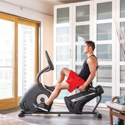 13. Schwinn 230i Programmable Recumbent Bike