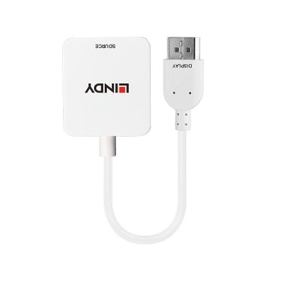 2. Lindy 38146 HDMI Type A (Standard) DisplayPort Cable Adapter White