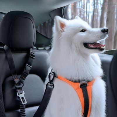 9. Spigen PS100 Universal Pet Seat Belt - Black