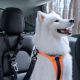 9. Spigen PS100 Universal Pet Seat Belt - Black
