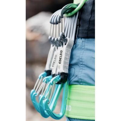 2. Edelrid 737930106020 Climbing Carabiner, Locking Closure, D-Shape, Blue, Silver, 6 Pieces