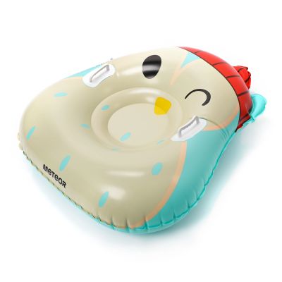 30. Meteor Owl Snow Slide 16765