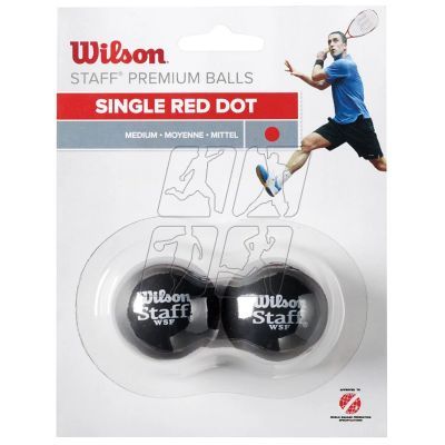 2. Wilson Staff Squash Red Dot Ball WRT617700